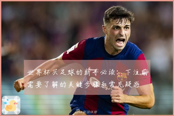 世界杯买足球的新手必读：下注前需要了解的关键步骤和常见疑惑